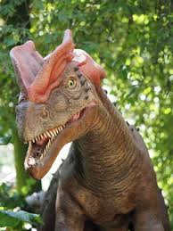 291 yorum, makale ve 409 resme bakın. Dilophosaurus Stock Photos And Images 123rf