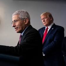 How dare stand where he stood. Fauci On What Working For Trump Was Really Like The New York Times