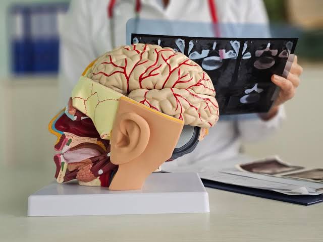 World Brain Day 2026: 22 July 2026 | Awareness Days