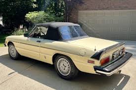 Image result for Light Rattan 1981 Alfa-Romeo