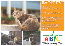 Bernard parish animal shelter 115 w. February Free Spay Neuter