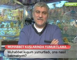 Muhabbet Kusum Yumurtladi Ona Nasil Bakmaliyim Dailymotion Video