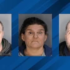 Abandoned dogs found in Watervliet lead to charges against three