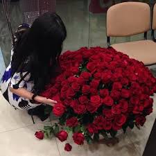 Check spelling or type a new query. Red Rose Dpz Flowers Image