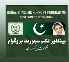 Image result for bisp program