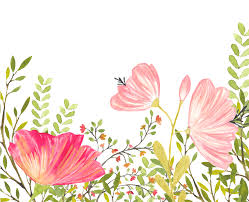 20 cmyk backgrounds jpg high res. Download Hd This Backgrounds Is Floral Background Free Vector About Mallow Family Transparent Png Image Nicepng Com