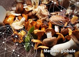 Estate d'oro per la raccolta dei funghi: Focus Sul Mercato Mondiale Dei Funghi