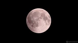 Acegif is an internet portal with the best gifs on any topic. Ø§Ù„ØµÙˆØ± ÙˆØµÙˆØ± Ù…ØªØ­Ø±ÙƒØ© Ù…Ù† Ø§Ù„ÙƒØ³ÙˆÙ Gifmania