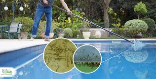 Unless your gutter is about a mile or more away from your kiddie pool, mosquitoes will find their way to the pool with no trouble whatsoever. How To Keep Mosquitoes Away From Your Swimming Pool