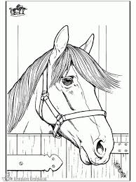 Kleurplaat paardenhoofd met hoefijzer archidev. 140 Ideeen Over Paard Paarden Paard Knutselen Thema
