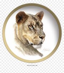 Transparent Lioness Png Lioness Head Png Download Vhv Download for free in png, svg, pdf formats 👆. transparent lioness png lioness head
