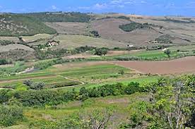 By far the grandest relic of ancient tarchuna which survives today, however, is the mighty terracotta which was unearthed at the altar of the queen in the first weekend of september, 1938, and thus still unknown when lawrence visited. Tarquinia Wikipedia