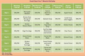 7 month old feeding schedule 8 month old baby 8 month