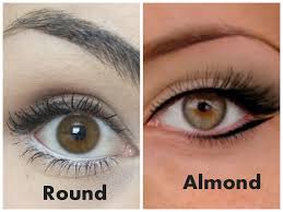 Penyakit bintik putih pada ikan nila dikarenakan adanya serangan parasit. Tampil Elegan Begini Cara Memakai Eyeliner Untuk Mata Belo Galadiva Com