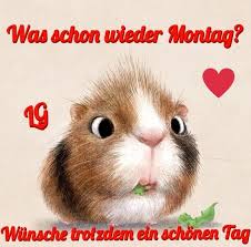 Eine tasse mit einem lustigen spruch oder einem witzigen bild ist eine tolle überraschung und ein langfristiger blickfänger und. Pin Von Margrit Schweizer Auf Good Morning Witzige Bilder Spruche Montagsbilder Lustig Guten Morgen Lustig