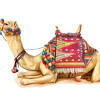 National research center on camel invites applications for the recruitment of supervisor vacancies. Https Encrypted Tbn0 Gstatic Com Images Q Tbn And9gcqm3m2qosoagegv1jkyqk3bxncm00hr Wnubjuetyfgez5loqnr Usqp Cau