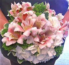 White Hydrangea With Pink Alstroemeria Bouquet Alstroemeria Bouquet Wedding Bouquets Alstroemeria Wedding