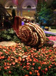 Conservatorio Bellagio Las Vegas Bellagio Las Vegas Belagio Las Vegas Las Vegas