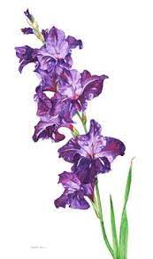 Maybe you would like to learn more about one of these? Irie Purple Gladiolus Vintage Flower Tattoo Gladiolus Gladiolus Flower