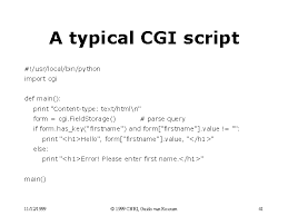 A Typical Cgi Script