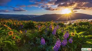Wallpaper pack download zip : Download Windows Spotlight Lock Screen Wallpapers Hellpc Tutorials Landscape Flower Photos Wallpaper Pc