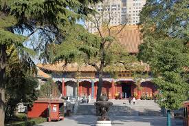 Daxingshan Tempel In Xi An Buddhistischer Tempel Tempel Buddhistische Monche