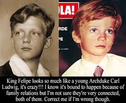 Royal-Confessions — “King Felipe looks so much like a young Archduke...