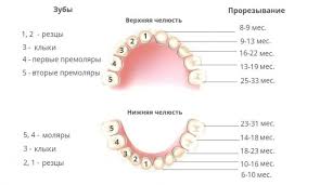 Набухшие десна при прорезывании зубов. Sinyaya Desna U Rebenka Pri Prorezyvanii Zubov Pochemu Obrazuetsya Gematoma