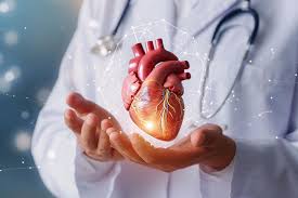 Heart Health: A Complete Guide to Protecting Your Most Vital Organ