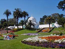 Maybe you would like to learn more about one of these? The Most Beautiful Flower Gardens In San Francisco