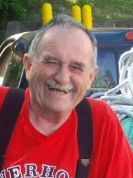 Skender Ali Obituary (2016)