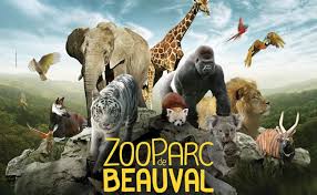 Spend your day in the zoo of beauval with a bilingual driver at your disposal all the day. Bon Plan Zooparc De Beauval Special Ouverture Jusqu A 7 50 De Remise Sur Votre Billet