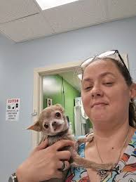 Galveston Veterinary Clinic...