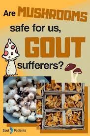 We All Know That Gout Sufferers Are More Than Just Cautious Regarding Their Food And Their Meals Here We Have One Type Of Food Gout Recipes Gout Remedies Gout