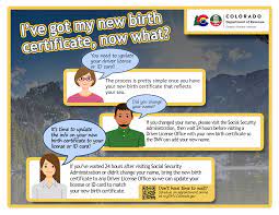 Take a trip to the local department of motor vehicles office to get a new license with your new last name. Change Your Sex Department Of Revenue Motor Vehicle