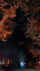 Armenia Autumn Night Background Hd Wallpaper Iphone 5s Wallpaper Colorful Backgrounds