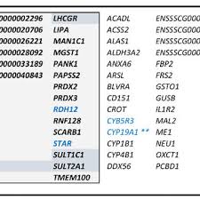 Microsoft travelers' reviews, business hours, introduction, open hours. Pdf Correlation Networks Provide New Insights Into The Architecture Of Testicular Steroid Pathways In Pigs