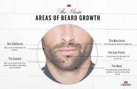 Our In-Depth Guide On How To Grow A Beard Faster And Naturally