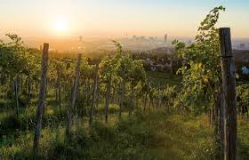 The austrian capital has blocked the renting out of community apartments on the website. Green City Destination Vienna Austria Tpbo