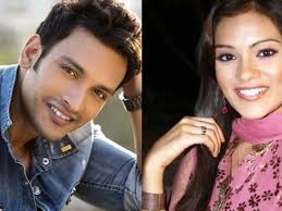 Rahul Arora and Megha Aditya Shroff in Code Red