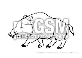 Wildschwein Tiere Gemischt Tiere Zum Ausmalen Ausmalbilder Bildende Kunst Material Klasse 1 Grundschulmaterial De