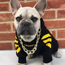 Shop french bulldog hoodies and sweatshirts designed and sold by artists for men, women, and everyone. Formeg Dog S Clothes Pets French Bulldog Clothes Dog Hoodie Warm Sport Retro Dog Hoodies Pet Clothes Puppy Dog Pugs Puppy Clothes Chihuahua Amazon Co Uk Pet Supplies