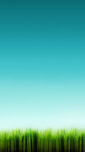 Iphone Wallpapers Iphone 5 Phone Backgrounds Nature Wallpaper Iphone Wallpaper