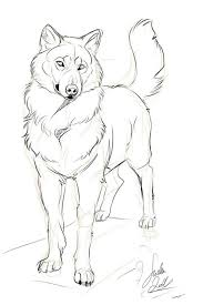 50 Easy Animal Sketches Drawing Ideas Harunmudak Art how to draw animals. 50 easy animal sketches drawing ideas