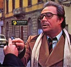 novella tedesco (@novellatedesco)