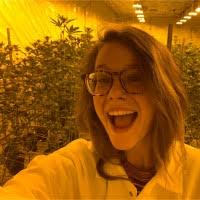 90+ "Purser" profiles