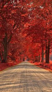 Feel free to send us your own wallpaper and we will consider adding it to appropriate category. Best Background Images Wallpaper Cave
