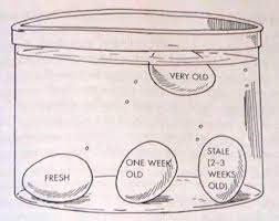 Näringsinformation och näringsinnehåll i uovo fresco hitta uppgifter om kalorier, kolhydrater och. Il Test Come Capire Se Le Uova Sono Ancora Buone Ecco Il Test Infallibile Cook
