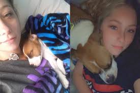 Fundraiser by Lauren Cohen : Luna's vet bills