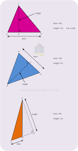 The formula for base of a triangle can be derived from the standard formula of area of a triangle as shown below: Base And Height Of A Triangle Home Campus